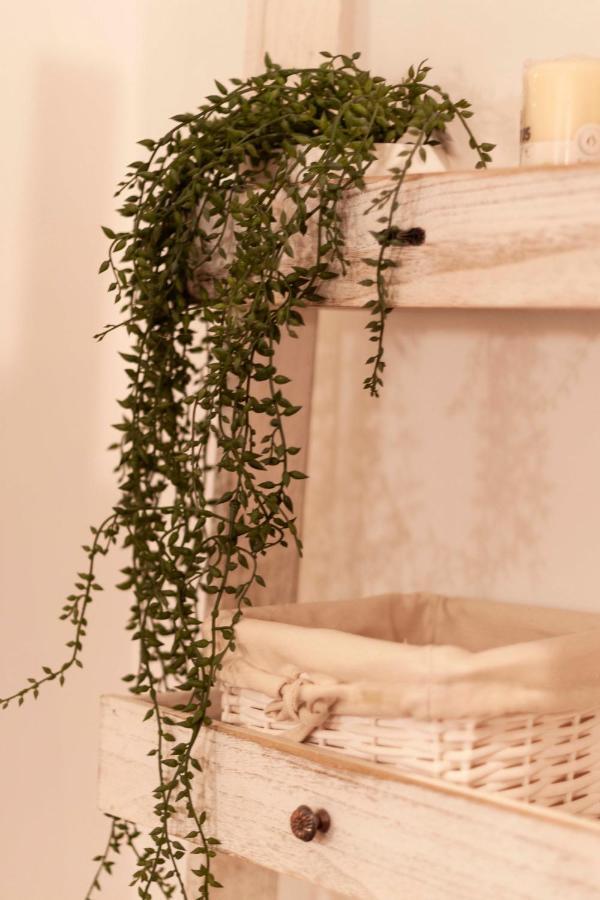 Sant'Arpino 26 - Elegant Flats In Naples Apartment Bagian luar foto